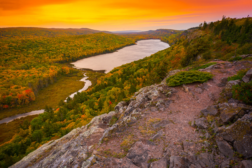 Autumnal Splendor