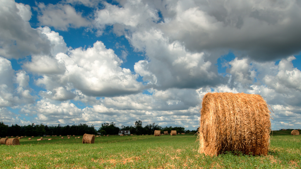 Mid Michigan on the 4th of July - Imlay City