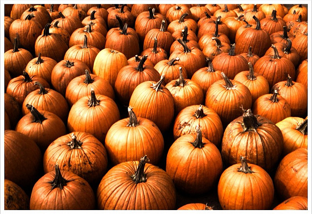 Happy Halloween!