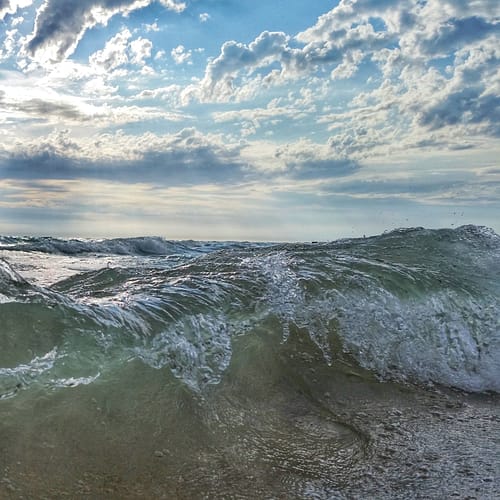 Lake Michigan Rolls