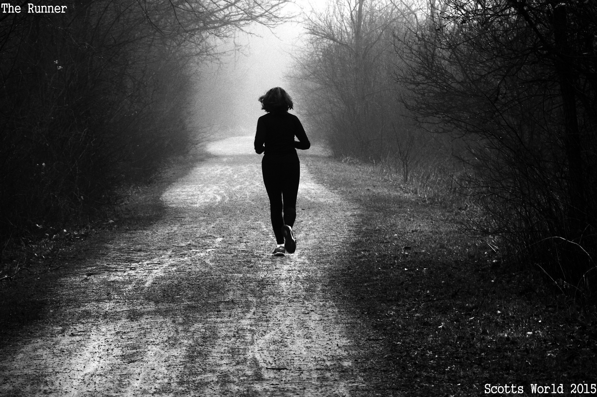 the-runner