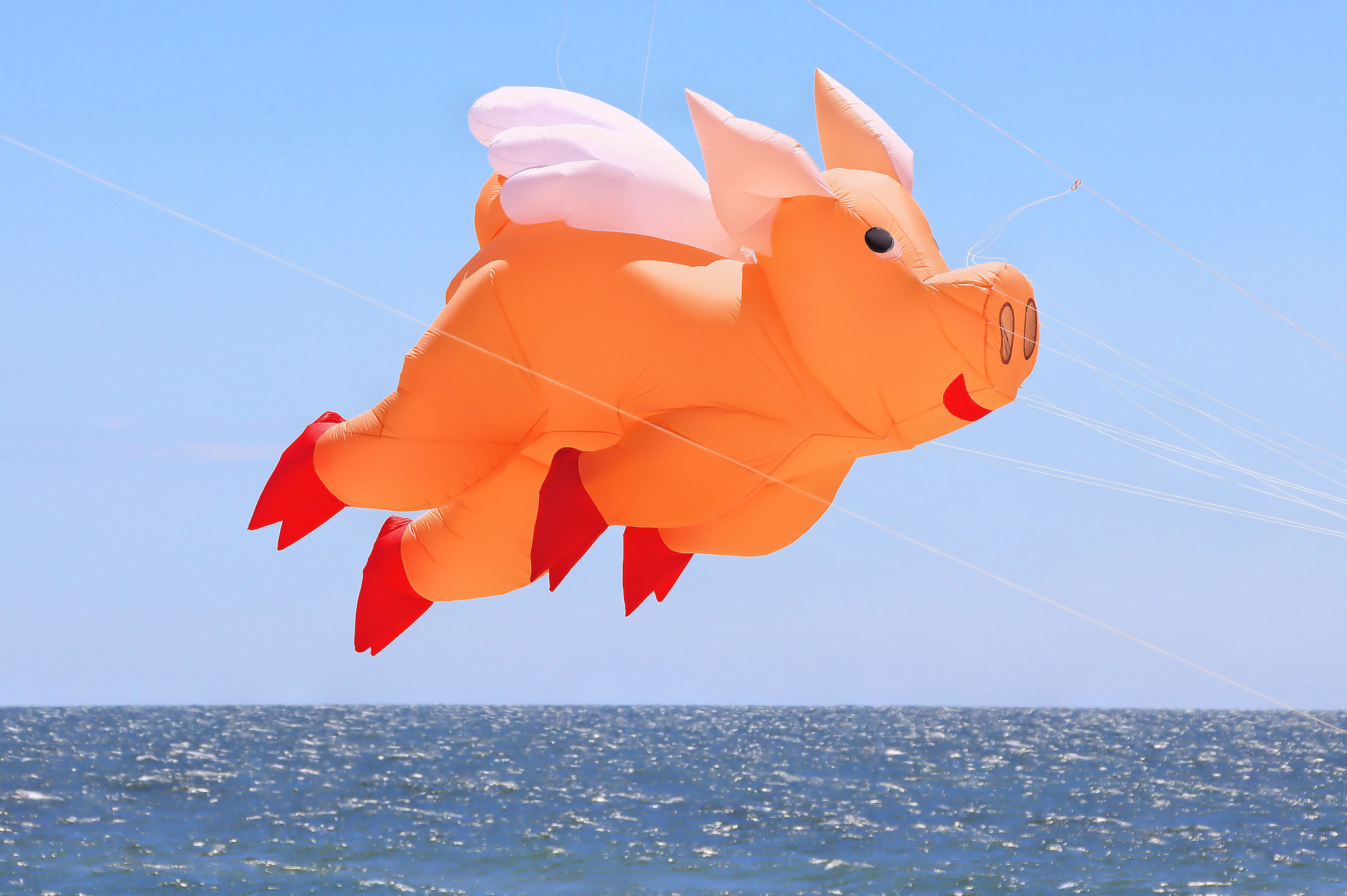 When Pigs Fly by The Kite Festival at Grand Haven