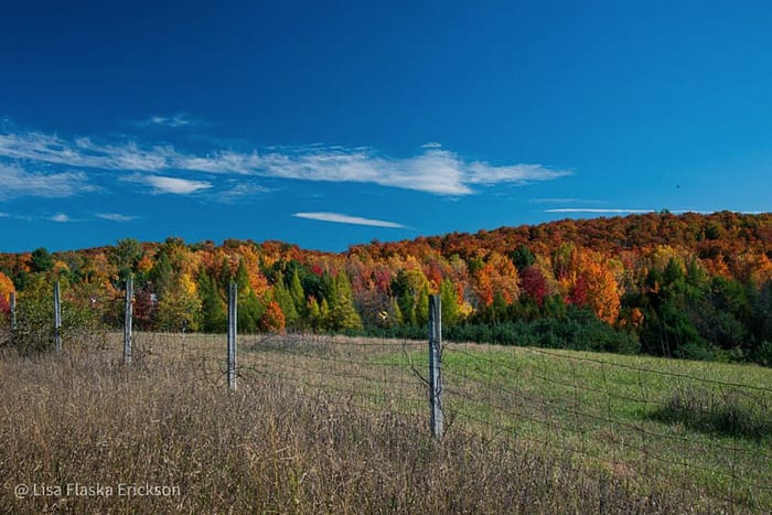 Autumn Mosaic by Lisa Flaska Erickson