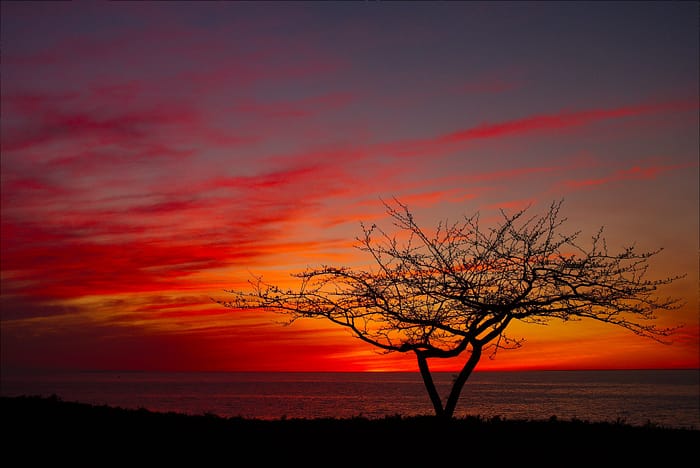 Solstice Sunset by Kent Babb