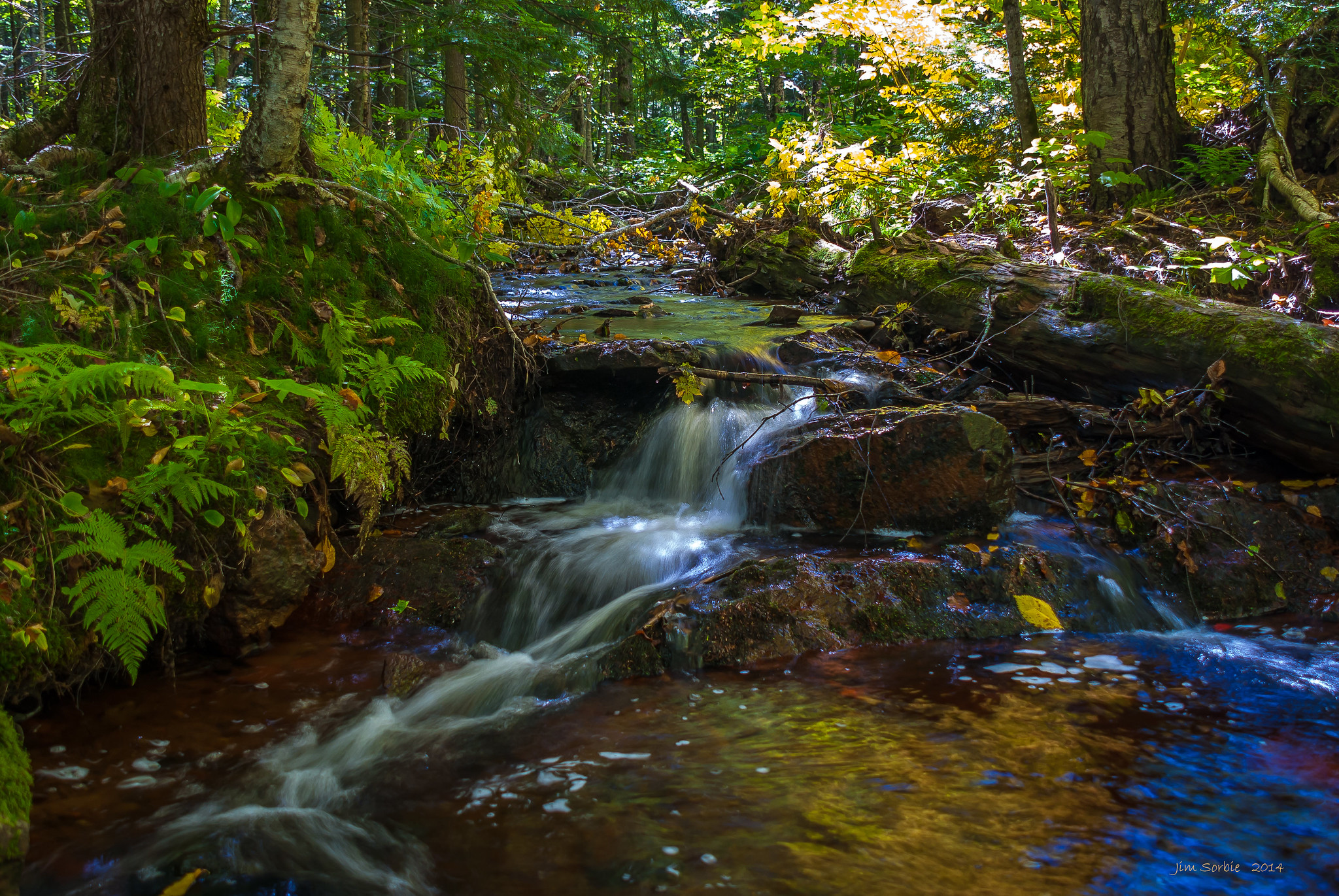 Overlooked Falls by Jim Sorbie