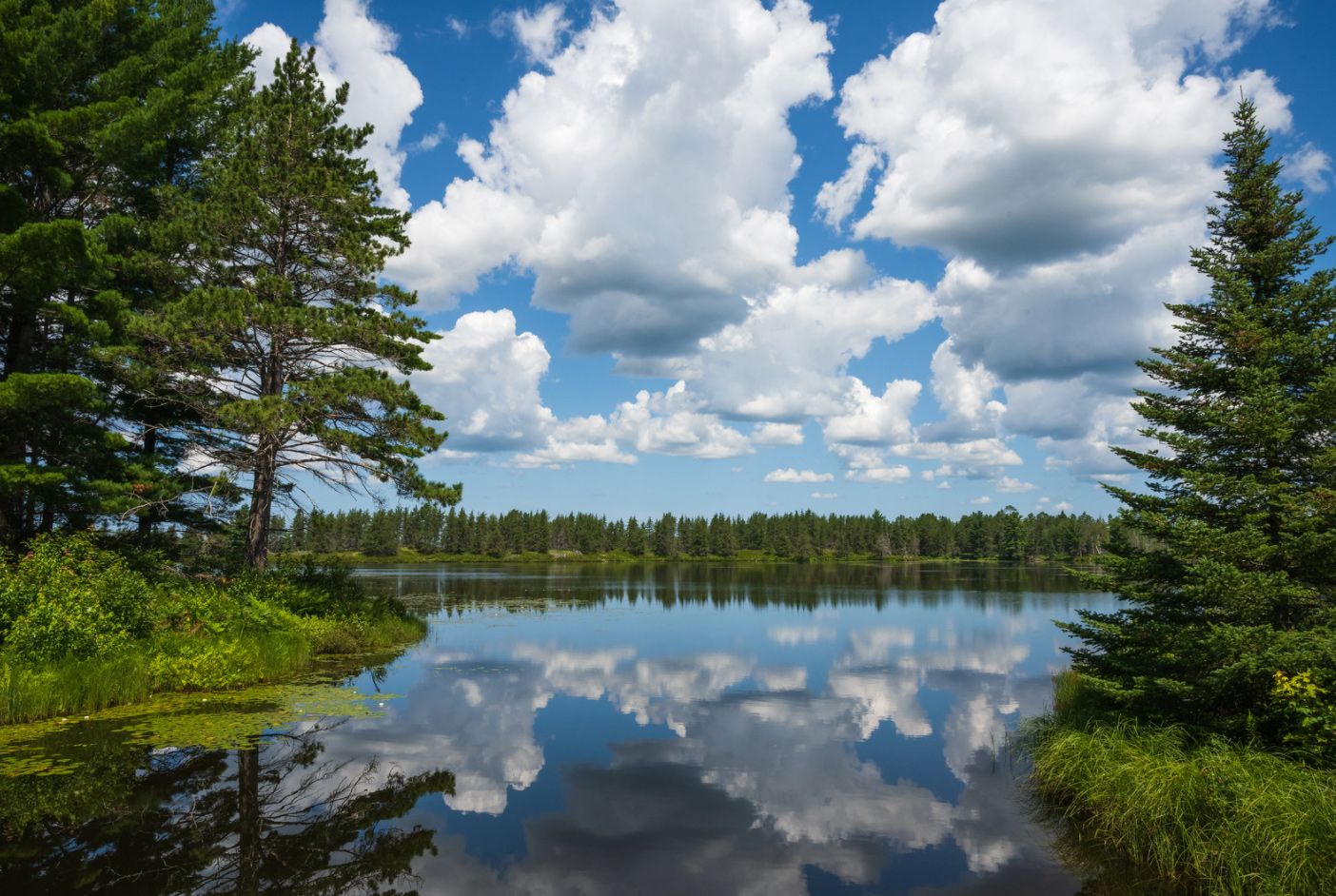 Reflections by Ayman Haykal