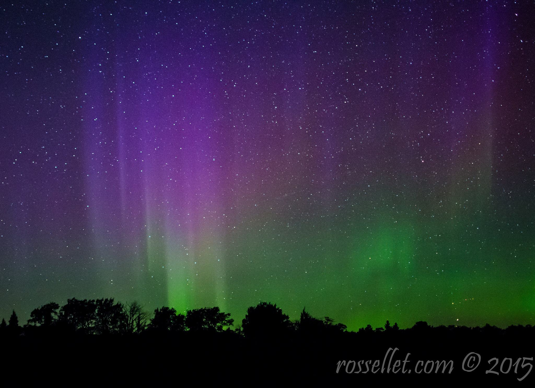 Purple Aurora